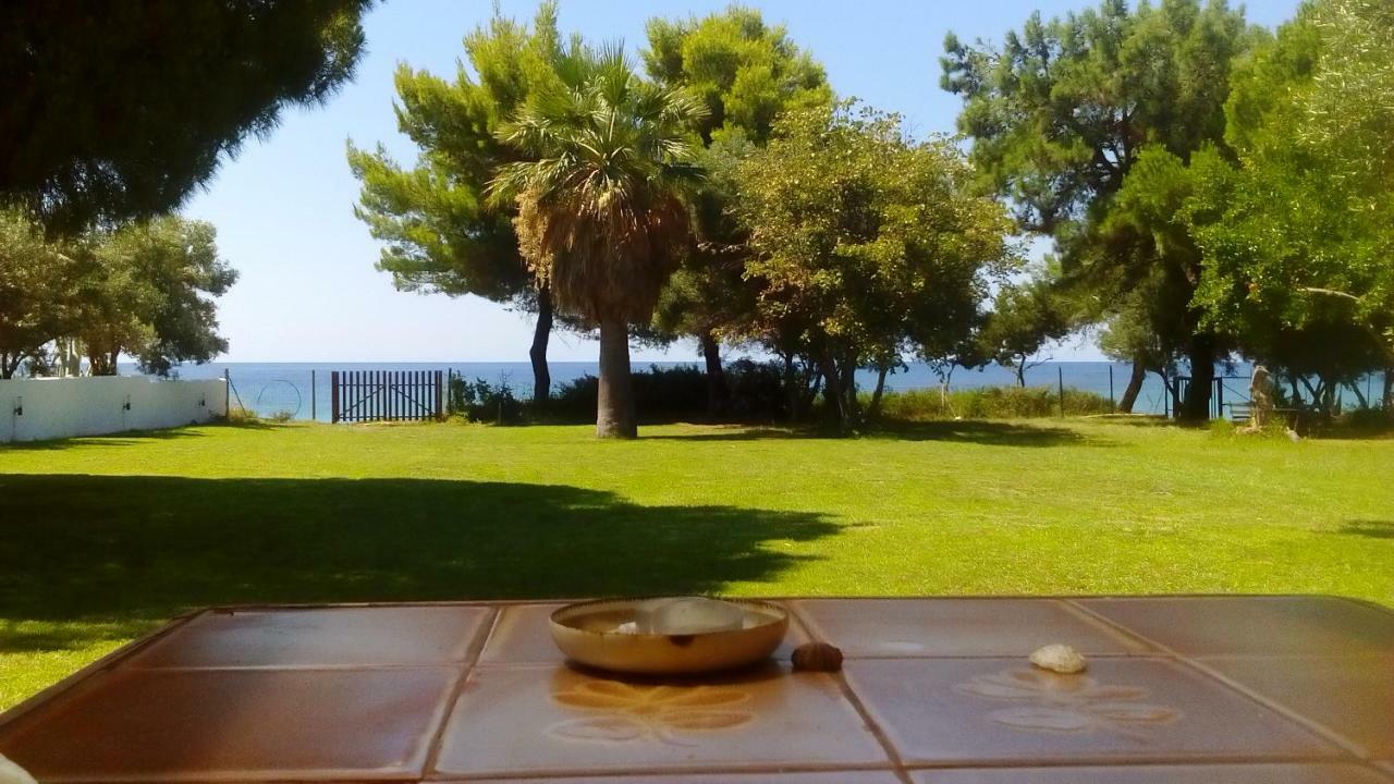 Seafront Villa Joan Νέα Σκιώνη Εξωτερικό φωτογραφία