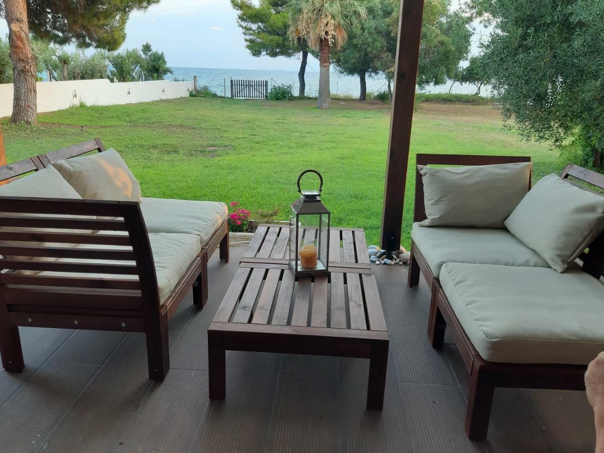 Seafront Villa Joan Νέα Σκιώνη Εξωτερικό φωτογραφία